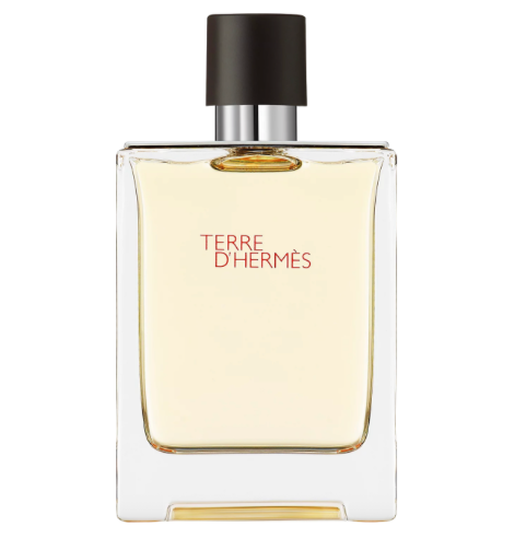 Terre De Hermes By Hermes 3.4 EDT (Tester)