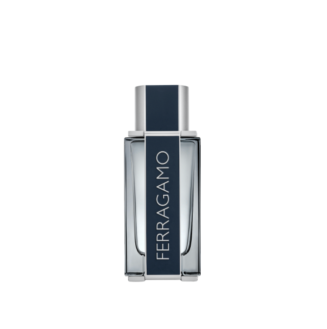 Ferragamo For Men 3.4 EDT